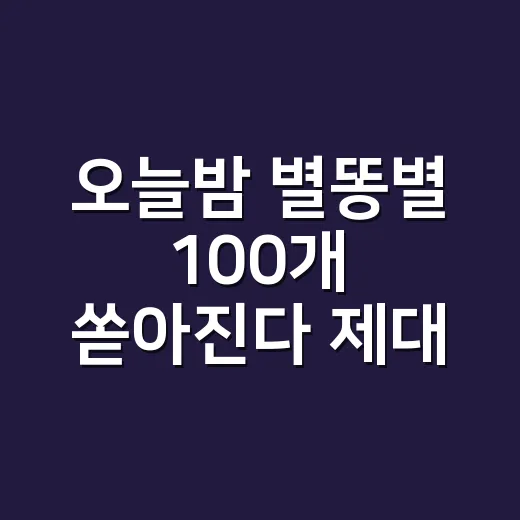 오늘밤 별똥별 100개 쏟아진다 제대로 보려면 이렇게 준비하세요 - 요약