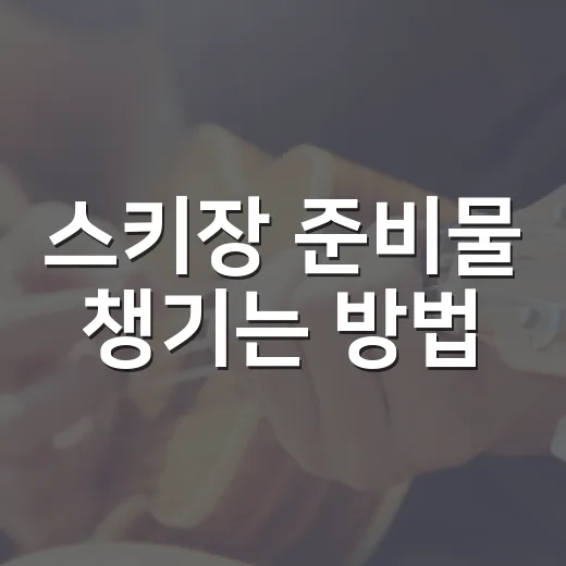 스키장 준비물 챙기는 방법, 초보자도 빠뜨리지 않는 체크리스트 - 요약