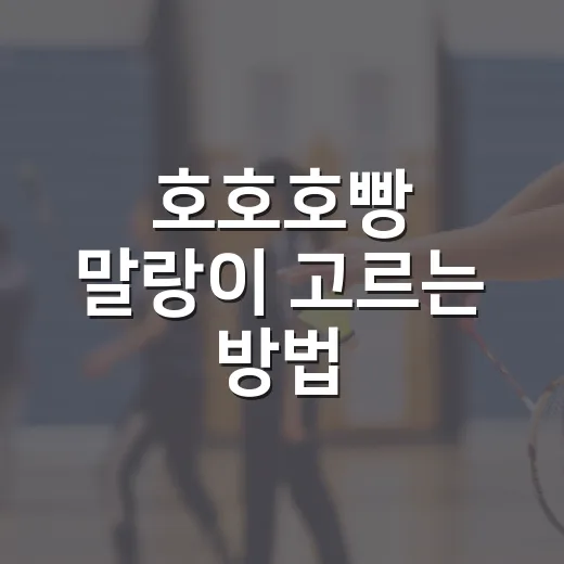 호호호빵 말랑이 고르는 방법, 촉감부터 보관까지 초보자용 가이드 - 요약