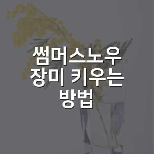 썸머스노우 장미 키우는 방법, 초보자가 꽃 오래 보려면 이렇게 - 요약