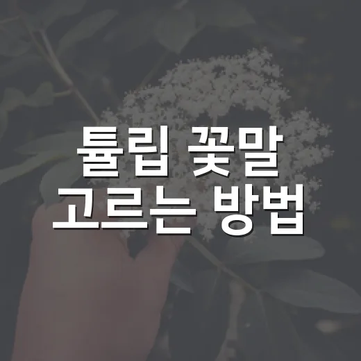 튤립 꽃말 고르는 방법, 색깔별 의미와 선물할 때 피해야 할 조합 - 요약