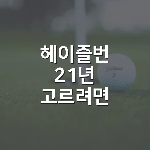 헤이즐번 21년 고르려면 이렇게 보면 됩니다 - 요약