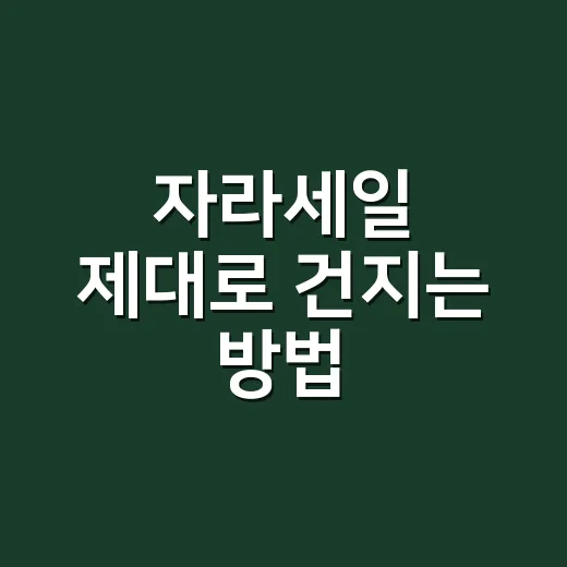 자라세일 제대로 건지는 방법, 초보자는 이렇게 준비하면 편해요 - 요약