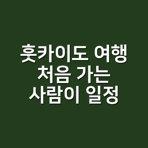 훗카이도 여행 처음 가는 사람이 일정 짜는 방법 - 요약