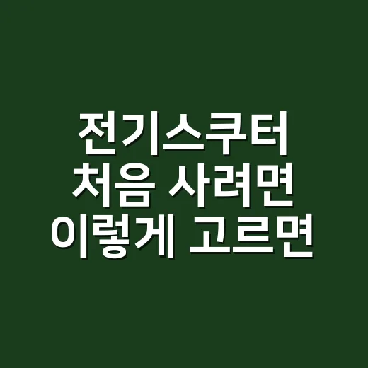 전기스쿠터 처음 사려면 이렇게 고르면 됩니다 - 요약