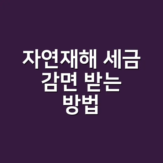 자연재해 세금 감면 받는 방법, 피해 직후 챙길 것들 - 요약