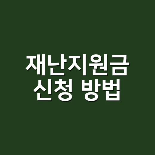 재난지원금 신청 방법, 내 지역 지원금 놓치지 않으려면 이렇게 - 요약