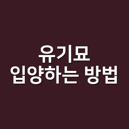 유기묘 입양하는 방법, 처음이라면 이렇게 준비하세요 - 요약