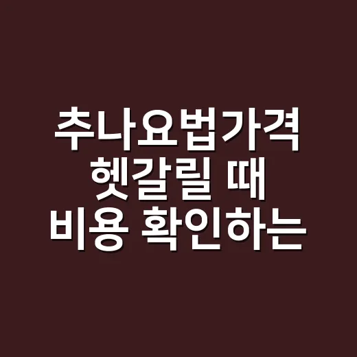 추나요법가격 헷갈릴 때 비용 확인하는 방법 - 요약