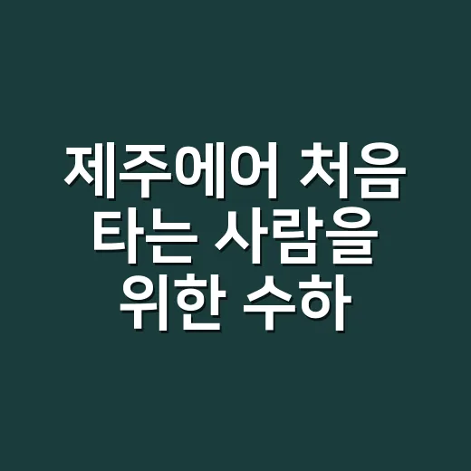 제주에어 처음 타는 사람을 위한 수하물·체크인 준비 방법 - 요약