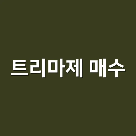 트리마제 매수·전세 고민할 때 확인하는 방법 - 요약