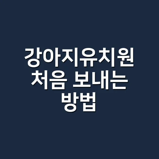 강아지유치원 처음 보내는 방법, 우리 아이에게 맞는 곳 고르는 기준 - 요약