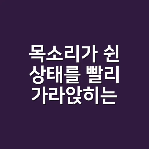 목소리가 쉰 상태를 빨리 가라앉히는 방법 - 요약