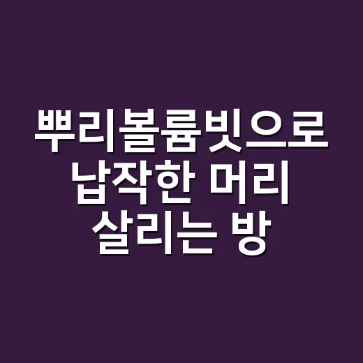 뿌리볼륨빗으로 납작한 머리 살리는 방법, 초보자도 자연스럽게 쓰는 요령 - 요약