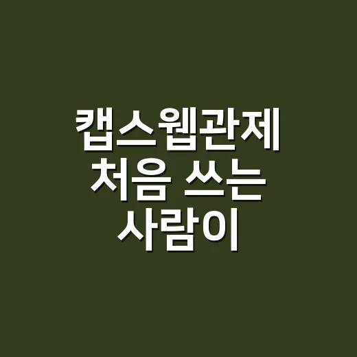 캡스웹관제 처음 쓰는 사람이 설정하고 확인하는 방법 - 요약