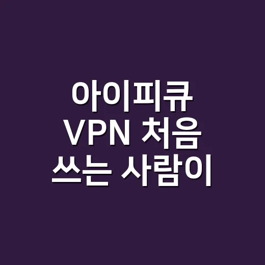 아이피큐 VPN 처음 쓰는 사람이 고정 IP 고르는 방법 - 요약