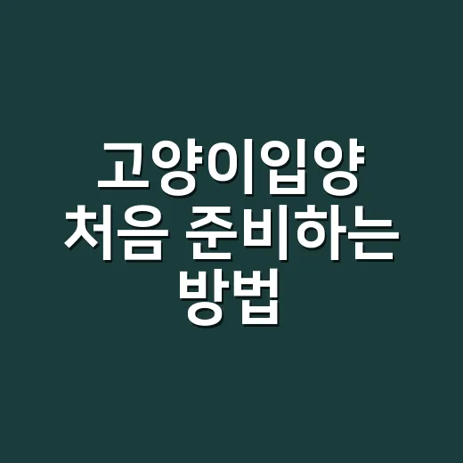 고양이입양 처음 준비하는 방법, 집에 데려오기 전 체크할 것들 - 요약