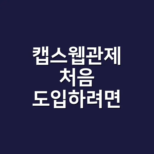 캡스웹관제 처음 도입하려면 이렇게 확인하세요 - 요약