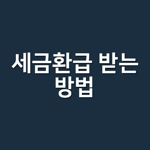 세금환급 받는 방법, 홈택스에서 놓친 돈까지 확인하려면 이렇게 - 요약