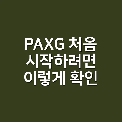 PAXG 처음 시작하려면 이렇게 확인하는 방법 - 요약