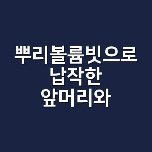 뿌리볼륨빗으로 납작한 앞머리와 정수리 살리는 방법 - 요약
