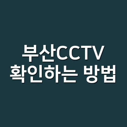 부산CCTV 확인하는 방법, 교통부터 사고 영상까지 이렇게 찾으면 편해요 - 요약