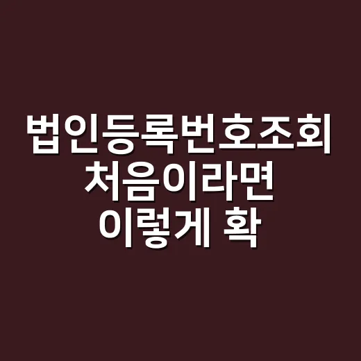 법인등록번호조회 처음이라면 이렇게 확인하면 됩니다 - 요약