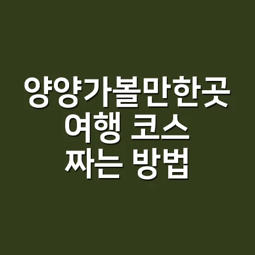 양양가볼만한곳 여행 코스 짜는 방법: 바다, 숲, 시장까지 하루에 즐기기 - 요약