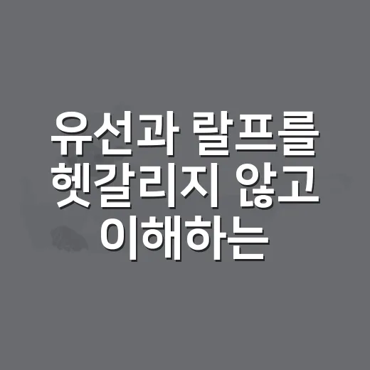 유선과 랄프를 헷갈리지 않고 이해하는 방법 - 요약