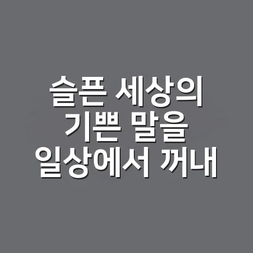 슬픈 세상의 기쁜 말을 일상에서 꺼내 쓰는 방법 - 요약