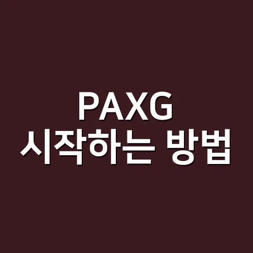 PAXG 시작하는 방법: 금을 토큰으로 보유하려면 이렇게 - 요약