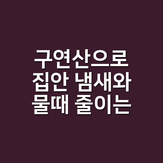 구연산으로 집안 냄새와 물때 줄이는 방법 - 요약