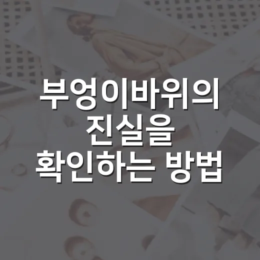 부엉이바위의 진실을 확인하는 방법, 사실과 소문을 구분하려면 이렇게 - 요약