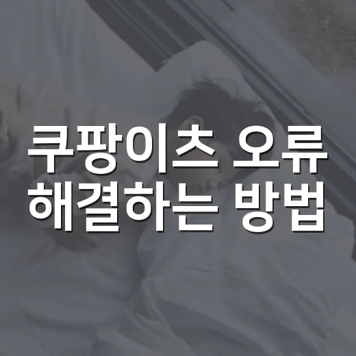 쿠팡이츠 오류 해결하는 방법, 주문 전후로 당황하지 않으려면 이렇게 - 요약