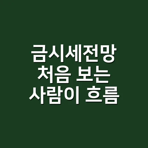 금시세전망 처음 보는 사람이 흐름 잡는 방법 - 요약