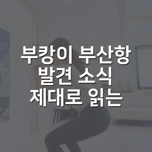 부캉이 부산항 발견 소식 제대로 읽는 방법 - 요약
