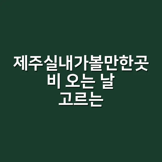 제주실내가볼만한곳 비 오는 날 고르는 방법 - 요약
