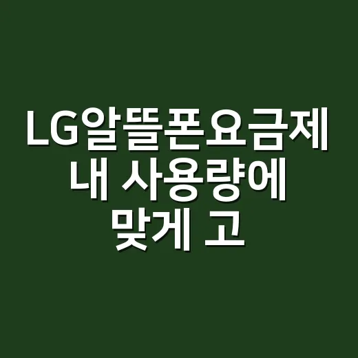 LG알뜰폰요금제 내 사용량에 맞게 고르는 방법 - 요약