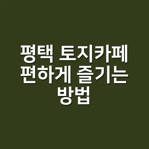 평택 토지카페 편하게 즐기는 방법 - 요약