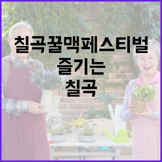 칠곡 꿀맥 페스티벌을 제대로 즐기는 방법 - 요약