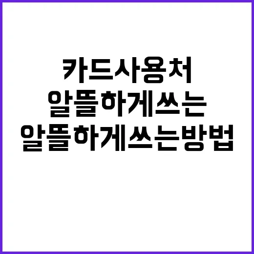 복지카드사용처 제대로 확인하고 알뜰하게 쓰는 방법 - 요약