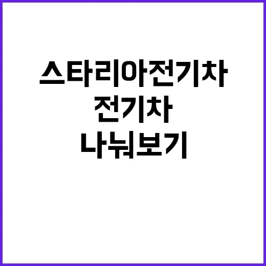 스타리아 전기차 구매 전 체크하는 방법, 가족차와 업무차 기준으로 나눠보기 - 요약