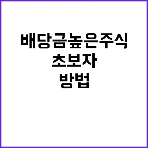배당금높은주식 고를 때 초보자가 먼저 보는 방법 - 요약