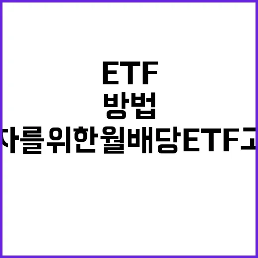 초보자를 위한 월배당ETF 고르는 방법, 배당일만 보고 사면 아쉬운 이유 - 요약