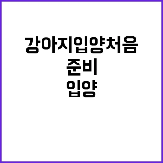 강아지입양 처음이라면 이렇게 준비하는 방법 - 요약