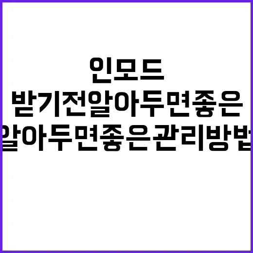 인모드 처음 받기 전 알아두면 좋은 관리 방법 - 요약