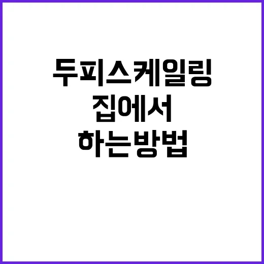 두피스케일링 제대로 하는 방법, 집에서 시작할 때 꼭 볼 것들 - 요약
