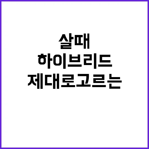 하이브리드 제대로 고르는 방법, 차 살 때 헷갈리는 포인트만 쉽게 보기 - 요약