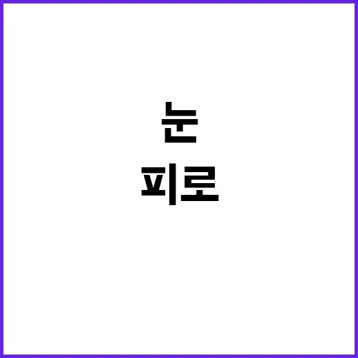 루테인 제대로 고르는 방법, 눈 피로가 걱정될 때 확인할 것들 - 요약