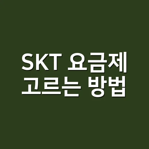 SKT 요금제 고르는 방법, 내 사용량에 맞추면 통신비가 달라집니다 - 요약